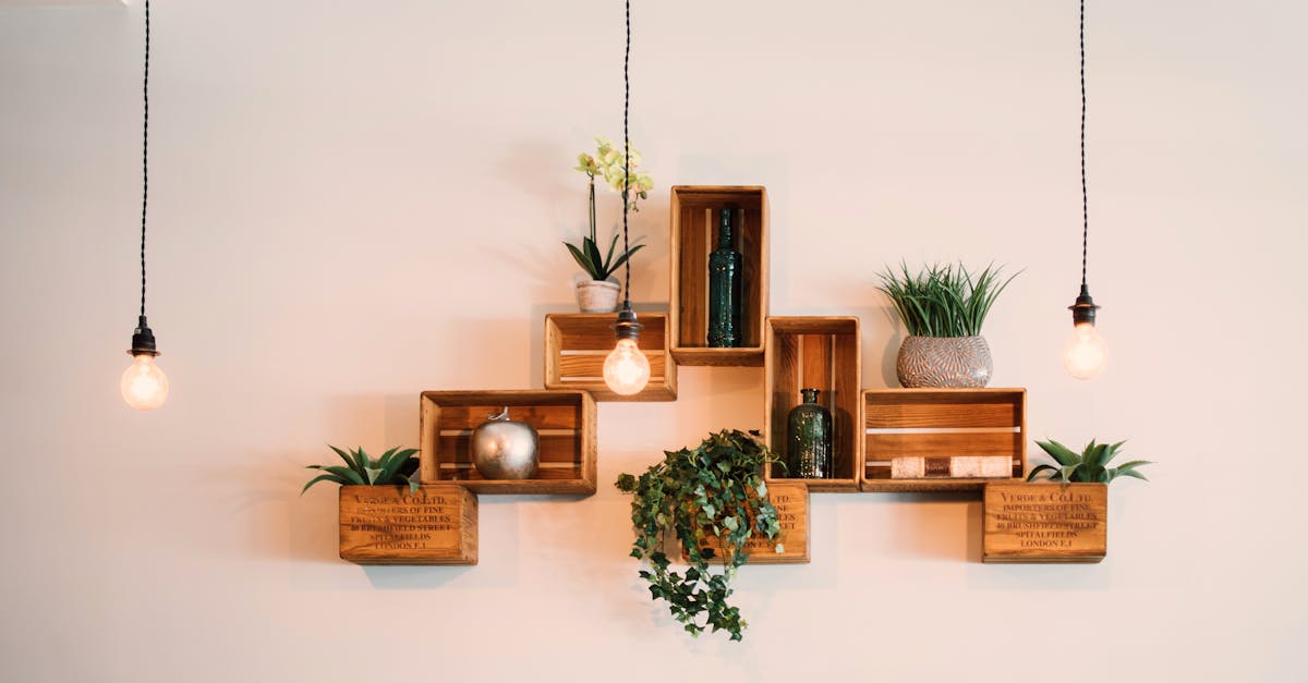 Bold Accent Walls: Choosing the Right Hue